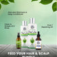 Feed Your Hair & Scalp Bundle