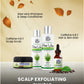 Scalp Exfoliating Bundle